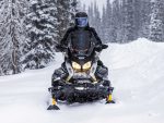Снегоход BRP Ski Doo Skandic LE 24" 900 Ace — изображение 2