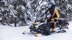Снегоход BRP Ski Doo Skandic LE 24" 900 Ace — изображение 3