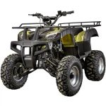 Квадроцикл YACOTA Sela 200