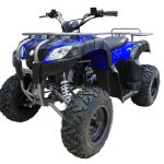 Квадроцикл MOTAX ATV Grizlik 200