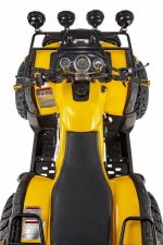 Квадроцикл RAPTOR Max Pro 250 (жёлтый/чёрный) (2024) — изображение 4