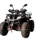 Квадроцикл GRIZZLY 250