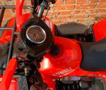 Квадроцикл MOWGLI Bold 8+ — изображение 5