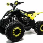 Квадроцикл MOTOLAND 125 Raptor