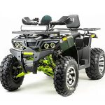 Квадроцикл MOTOLAND 200 Wild Track Pro
