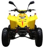 Квадроцикл ADLY 100 — изображение 3