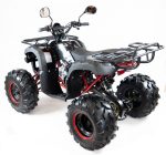 Квадроцикл MOTAX ATV Grizlik-8 125 — изображение 16