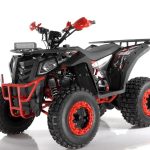 Квадроцикл WELS ATV Thunder 200 Evo X