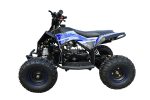 Квадроцикл MOTAX Gekkon 90cc — изображение 6