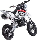 Мотоцикл BSE EVO 110e Evolution A PITBIKE — изображение 2