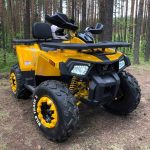 Квадроцикл MOTOLAND 200 Wild Track X — изображение 2