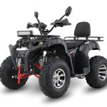 Квадроцикл GRIZZLY 200 Premium