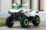 Квадроцикл IRIDE 200 ROVER — изображение 2