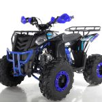 Квадроцикл WELS Thunder EVO