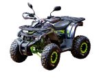 Квадроцикл MOTOLAND 125 Wild X Pro