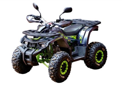 Квадроцикл MOTOLAND 125 Wild X Pro