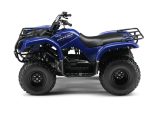 Квадроцикл GRIZZLY 125 — изображение 2
