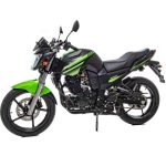 Мотоцикл MOTOLAND Bandit 300 — изображение 3