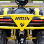 Квадроцикл IRBIS ATV 125 — изображение 10
