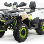 Квадроцикл MOTOLAND 200 Wild Track Lux ( Баланс. вал) (2021 Г.)