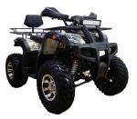 Квадроцикл ATV Classic 200 Premium — изображение 2