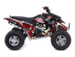 Квадроцикл SHARMAX GX-Cruiser ) — изображение 4