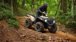 Квадроцикл YAMAHA Grizzly 700 EPS SE (ПСМ) — изображение 15