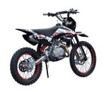 Мотоцикл REGULMOTO Seven Medalist 19/16 PITBIKE — изображение 5