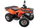 Квадроцикл MOTOLAND ATV 200 Max — изображение 4