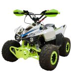 Квадроцикл RACER RC 110 Coyote