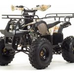Квадроцикл MOTOLAND 125 Fox A