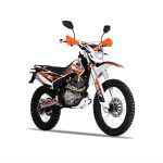 Мотоцикл кроссовый эндуро ROCKOT RS250 Firestorm (250cc, 172FMM, 21/18, ЭПТС) — изображение 5