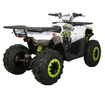 Квадроцикл AVANTIS H200 NEW (Баланс. вал) — изображение 3