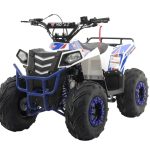 Квадроцикл MOTAX Grizlik A110