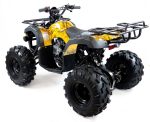 Квадроцикл MOTAX ATV Grizlik-8 125 — изображение 14