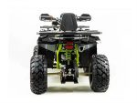 Квадроцикл MOTOLAND 200 Wild Track Pro — изображение 4