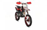Мотоцикл KAYO Pro Daytona 190 PITBIKE — изображение 2