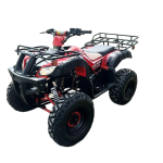 Квадроцикл RAPTOR Madman 200 All