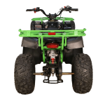 Квадроцикл AVANTIS Hunter 200 (Баланс. вал) — изображение 3