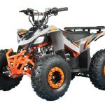 Квадроцикл REGULMOTO S12
