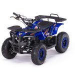 Квадроцикл MOTAX Grizlik X16 (ES, BW)