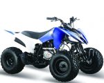 Квадроцикл МОТОМИР Pantera 125