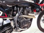 Мотоцикл кроссовый эндуро ZUUMAV FX CR 250CB — изображение 13