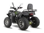 Квадроцикл GRIZZLY 200 Premium — изображение 3