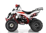 Квадроцикл MOTAX ATV Raptor Super LUX 125 cc — изображение 2