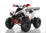 Квадроцикл MOTAX ATV Raptor Super LUX 125 cc
