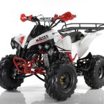 Квадроцикл MOTAX ATV Raptor Super LUX 125 cc