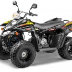 Квадроцикл СТЕЛС ATV 110A HUGO