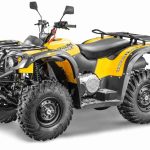 Квадроцикл СТЕЛС ATV 500 YS ST Leopard