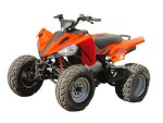 Квадроцикл ARMADA ATV 200L-1